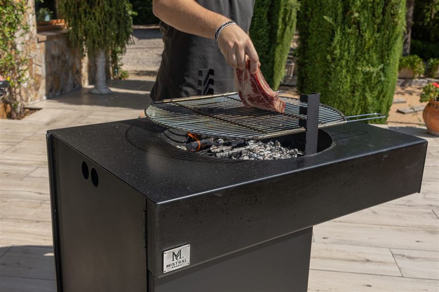 Carne en la parrilla de Dualis